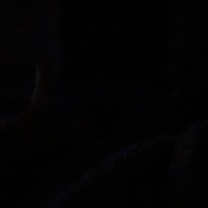 Meet your Posher, Jack